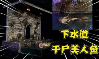 电影下水道的美人鱼 电影下水道的美人鱼